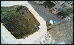 Chimney Cowls Bird Guards Cheltenham